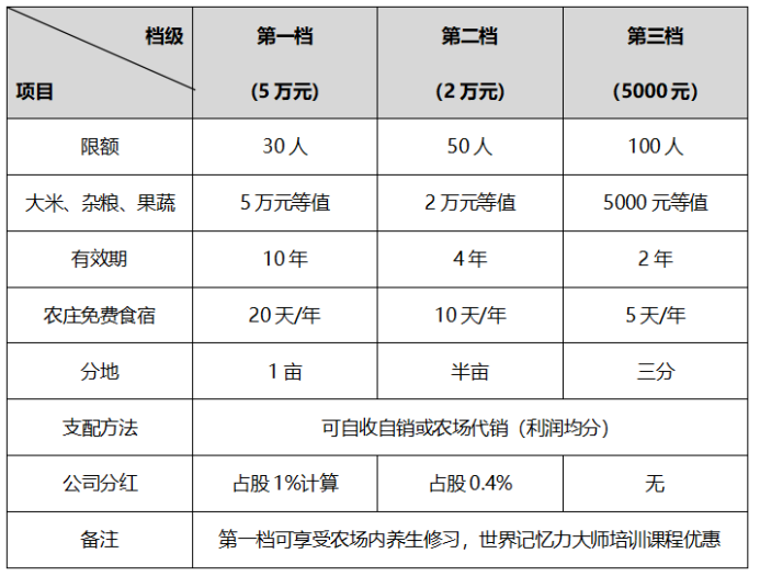 營(yíng)銷(xiāo)策劃公司